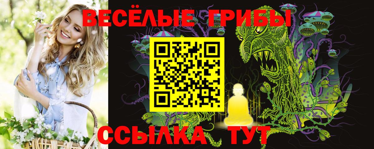 купить наркотики цена  Псилоцибиновые грибы мухоморы  Вход с VPN  Сарапул 