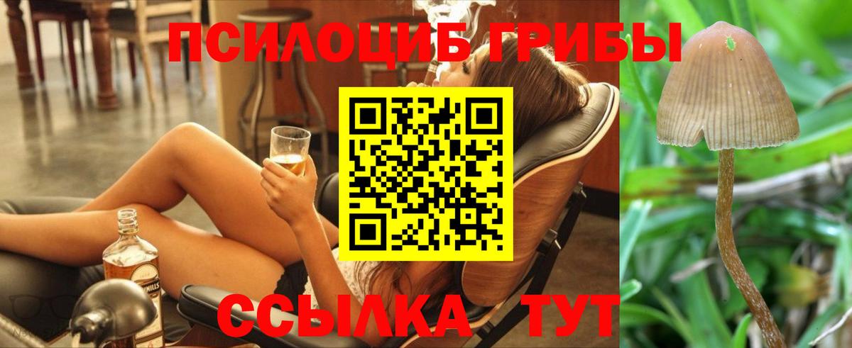 Галлюциногенные грибы мицелий Сарапул